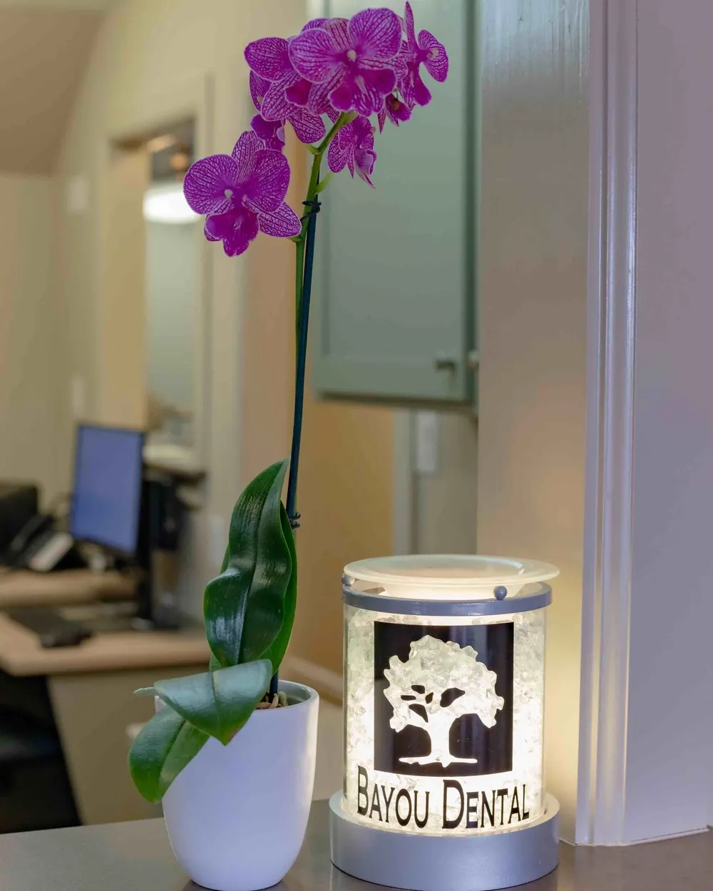 An orchid and the Bayou Dental tree lamp at reception.